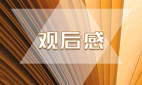 關于網絡安全的觀后感范文400字7篇